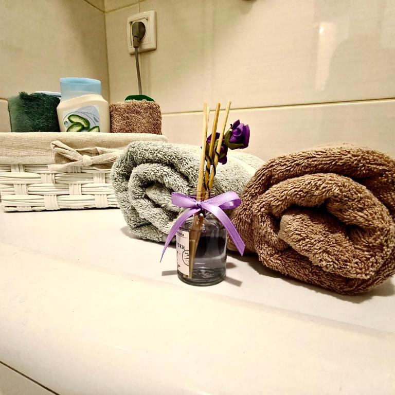 Apartment Banja Luka - Apartman sa 1 Spavaćom Sobom - 12