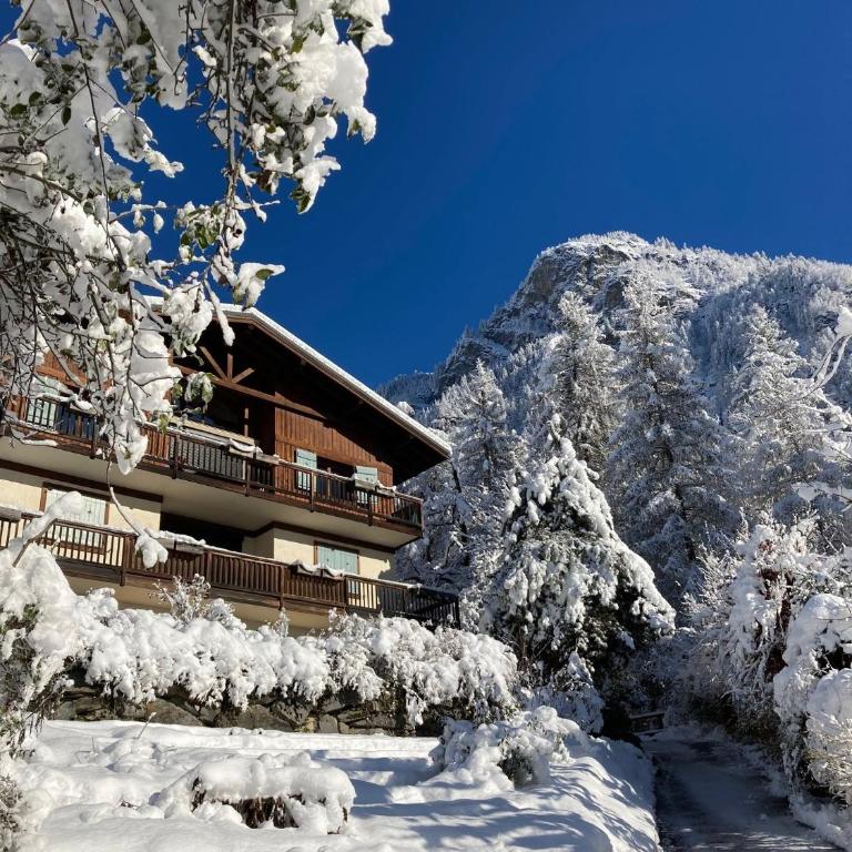 Chalet du grand cerf - Chalet 3 Chambres - 3