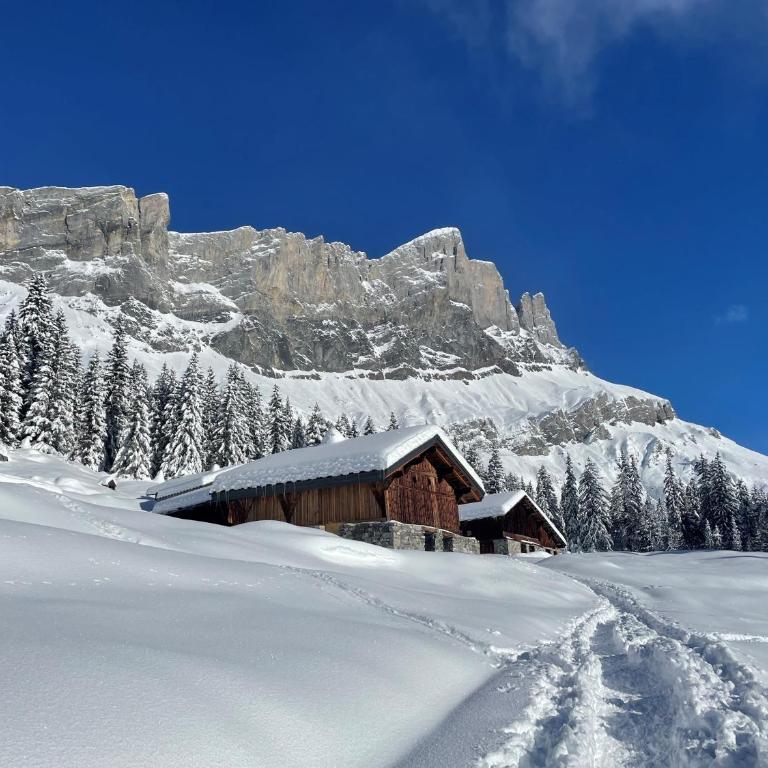 Chalet du grand cerf - Chalet 3 Chambres - 25