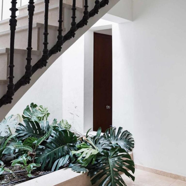 Alemaison High-End Historic center with 2 balconie - Apartamento de 1 dormitorio - 36