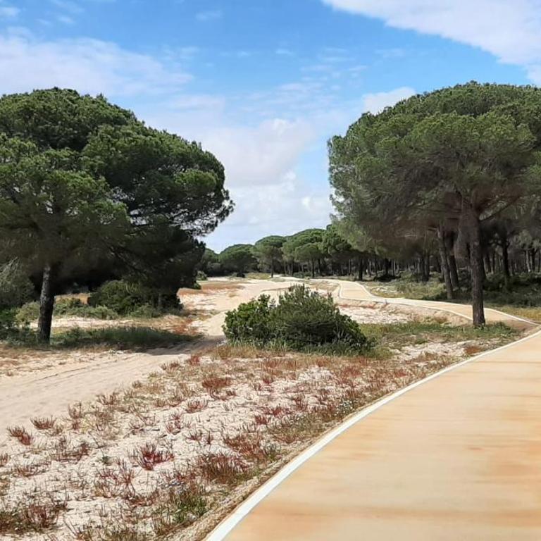 Andalusian patio villa 12 pax with private pool - Casa de 6 dormitorios - 44
