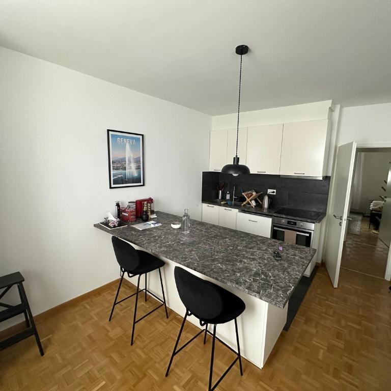 Magnificent apartment, Geneva Center, Geneva Lake - Appartement 1 Chambre - 8
