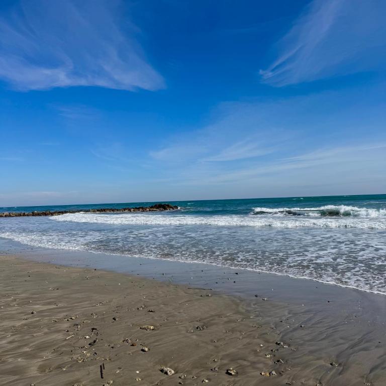 Mon Rooftop à la Plage - Appartement 1 Chambre - 38