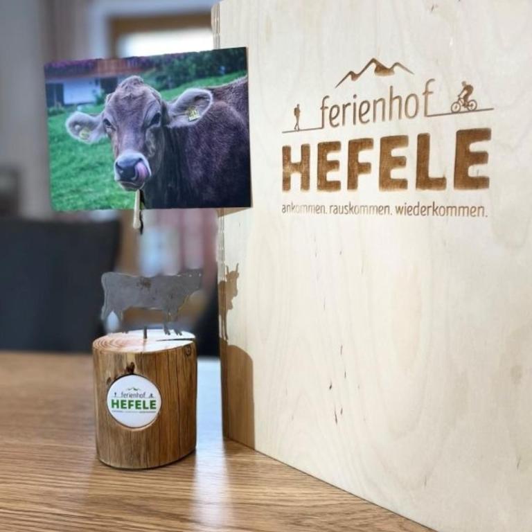 Ferienhof Hefele Ferienwohnung Breitenberg mit KönigsCard - Apartment - 5