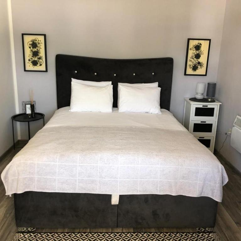 Great 1-Bedroom Private Apartment in Villa - One-Bedroom Apartment with Terrace - 6