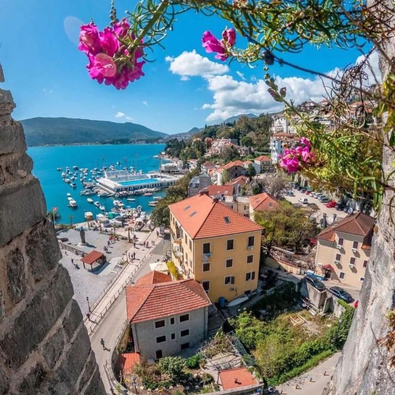 Great 1-Bedroom Private Apartment in Villa - One-Bedroom Apartment with Terrace - 34