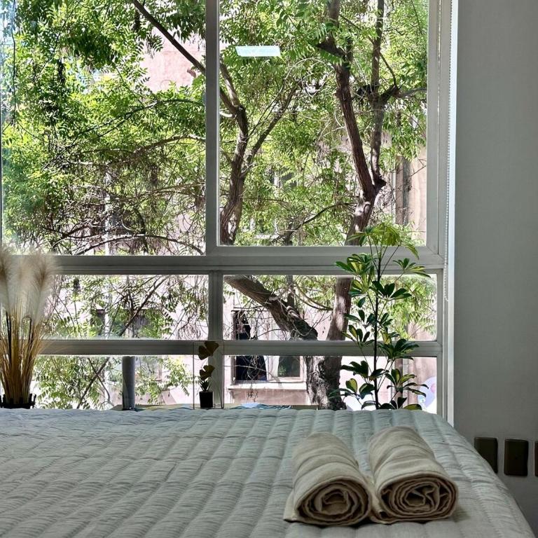 Encantador departamento a pasos de la Alameda - Apartamento de 1 dormitorio - 26