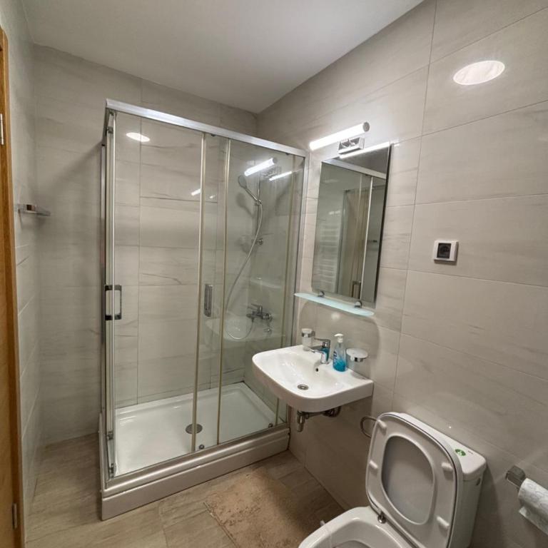 Aleksandar's Delux apartment - Apartman sa 1 Spavaćom Sobom - 7