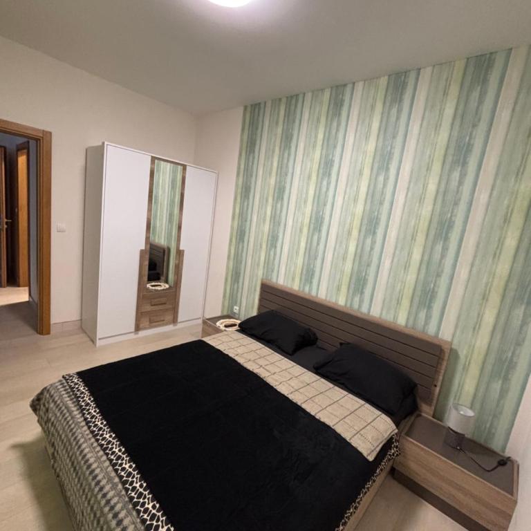 Aleksandar's Delux apartment - Apartman sa 1 Spavaćom Sobom - 6