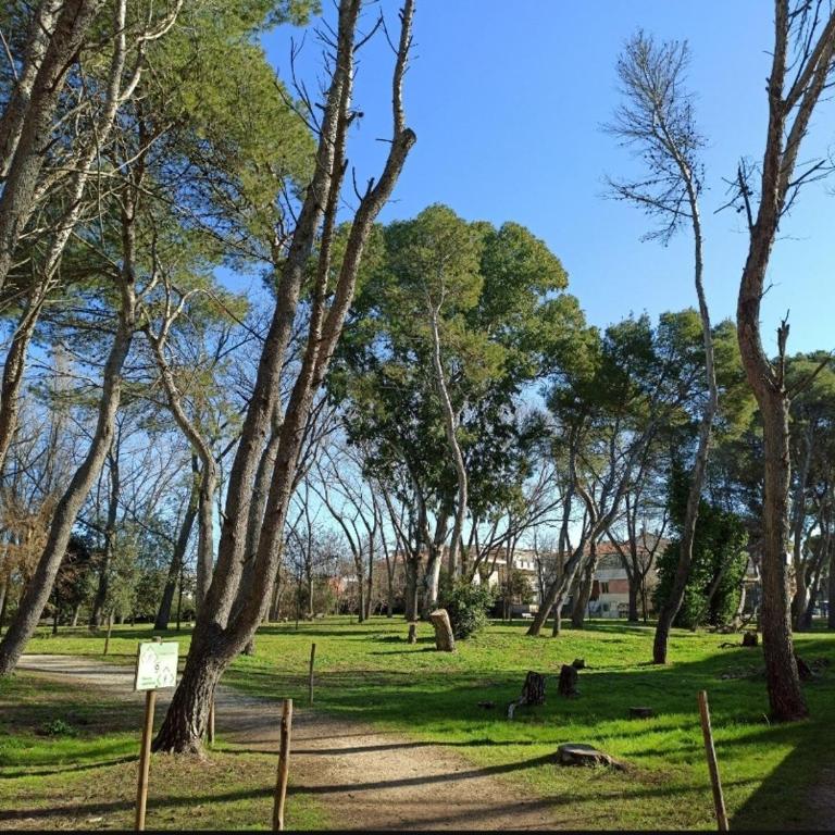 Fronte Mare 74 - Two-Bedroom House - 25