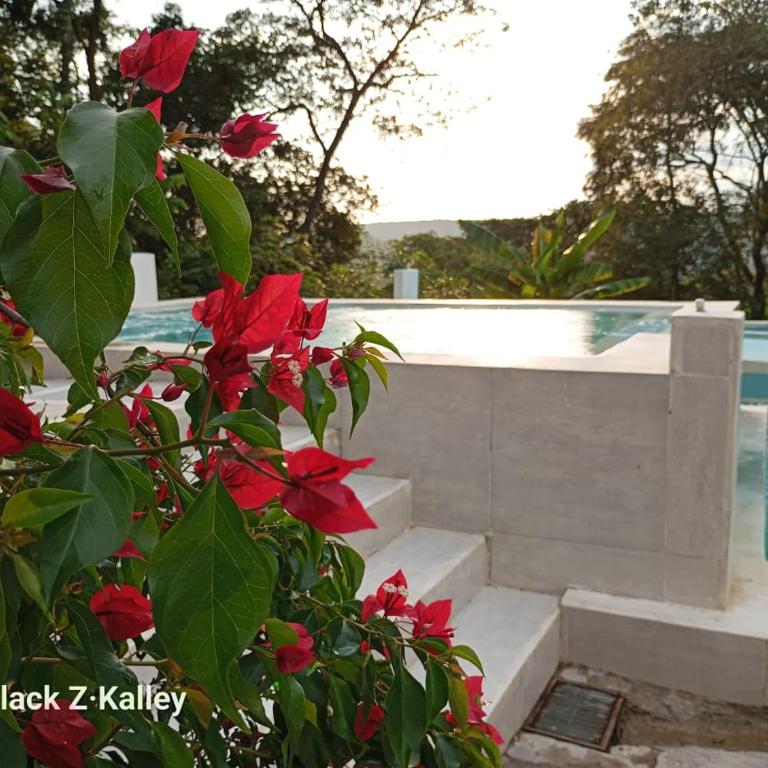Casa Quinta Confort-privado - Casa de 7 dormitorios - 33