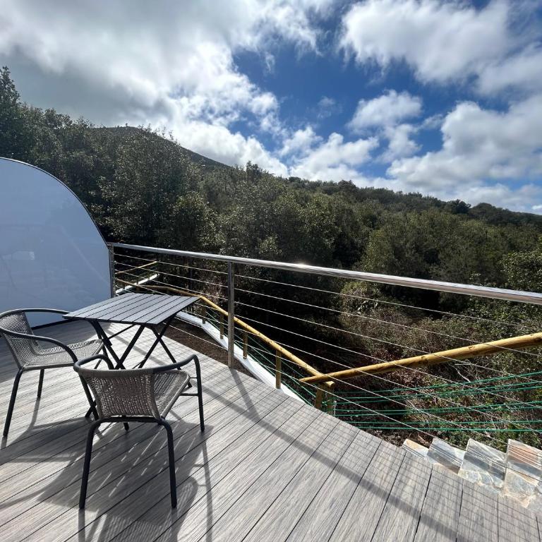 Viva Forest Apartment, Stevier - One-Bedroom Apartment - 39