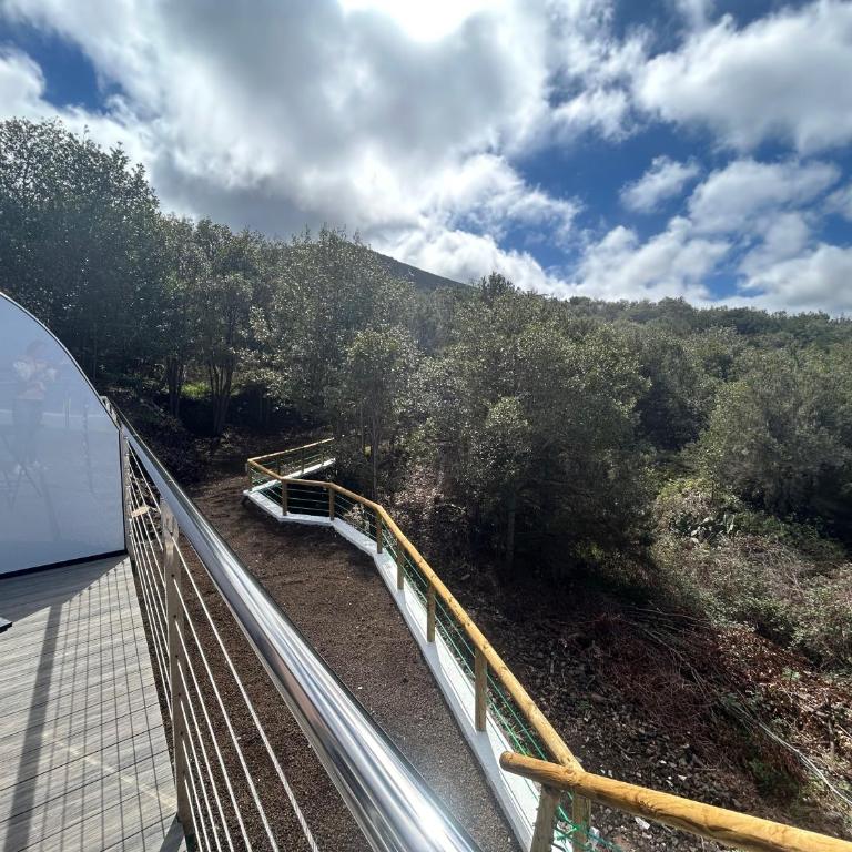 Viva Forest Apartment, Stevier - One-Bedroom Apartment - 41