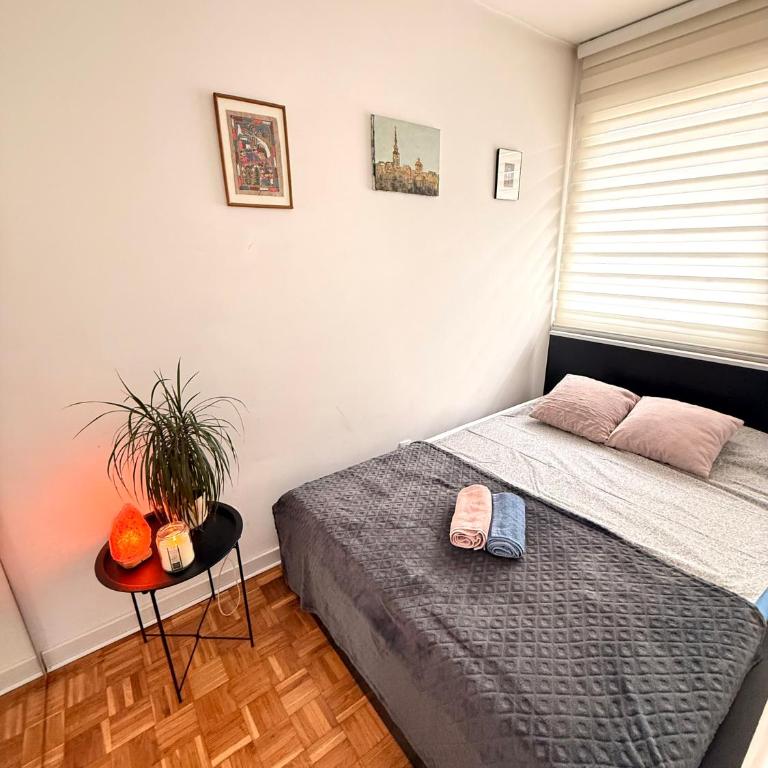 Ada Zen - One-Bedroom Apartment - 3
