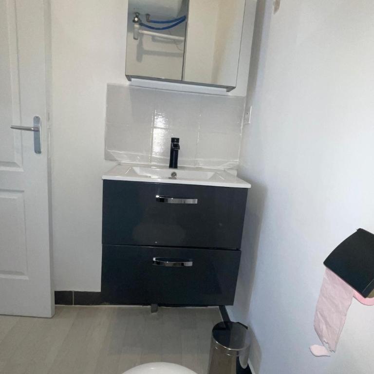 Studio Hôtel Villeurbanne Charpenne 3 - Appartement 1 Chambre - 8