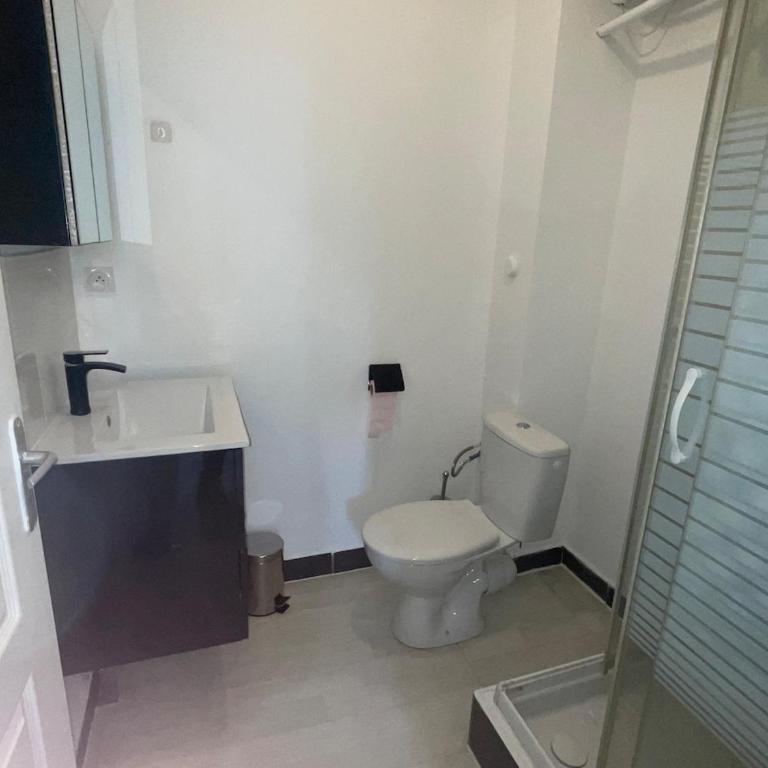 Studio Hôtel Villeurbanne Charpenne 3 - Appartement 1 Chambre - 13