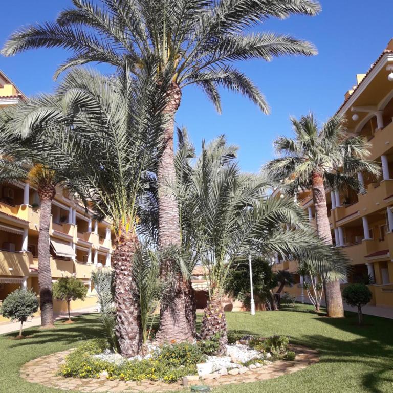 penthouse, beach and pools - Apartamento de 2 dormitorios con vistas a la piscina - 9