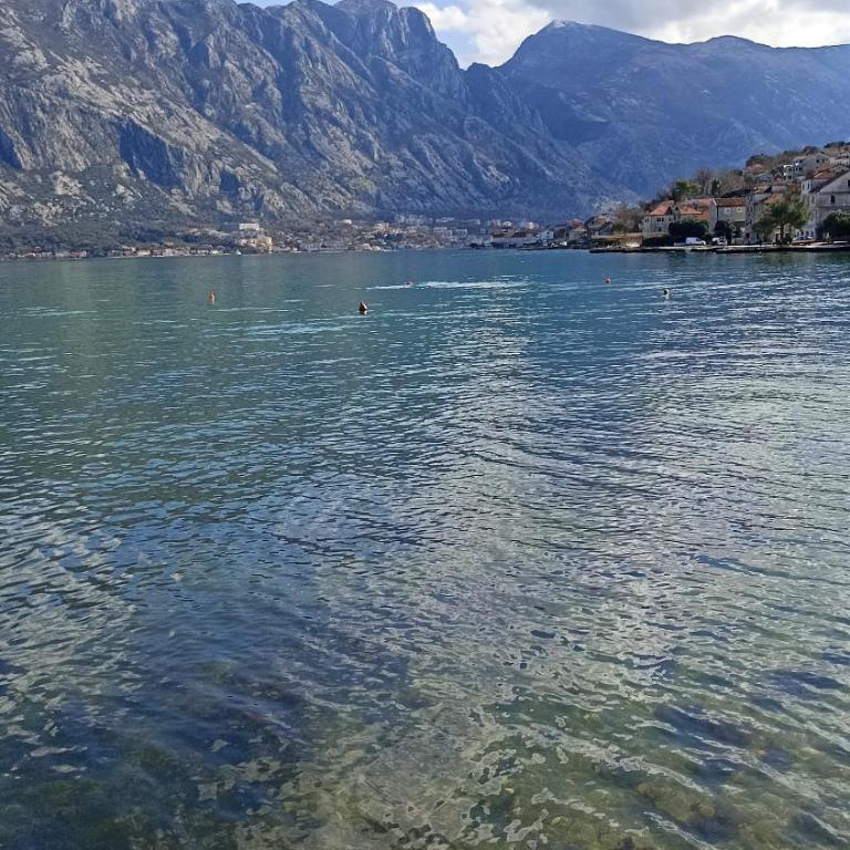 Vibrant BayView Apartment Kotor - Apartman sa 1 Spavaćom Sobom - 27