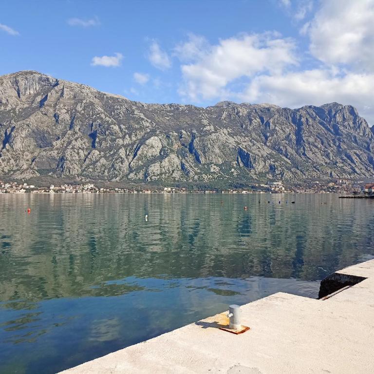 Vibrant BayView Apartment Kotor - One-Bedroom Apartment - 32