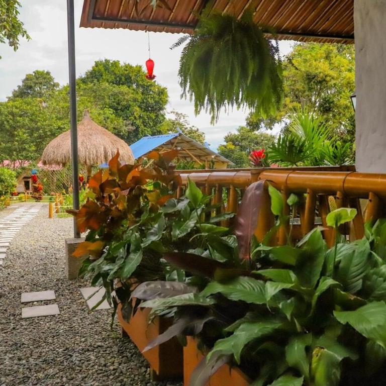El Jardín Casa de Campo - Casa - 45