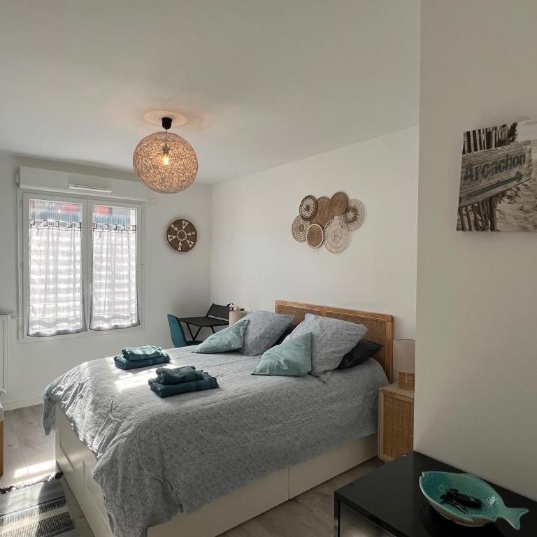 Appt T2 - 4 Pers - Arcachon Centre - Parking - Appartement 1 Chambre - 33