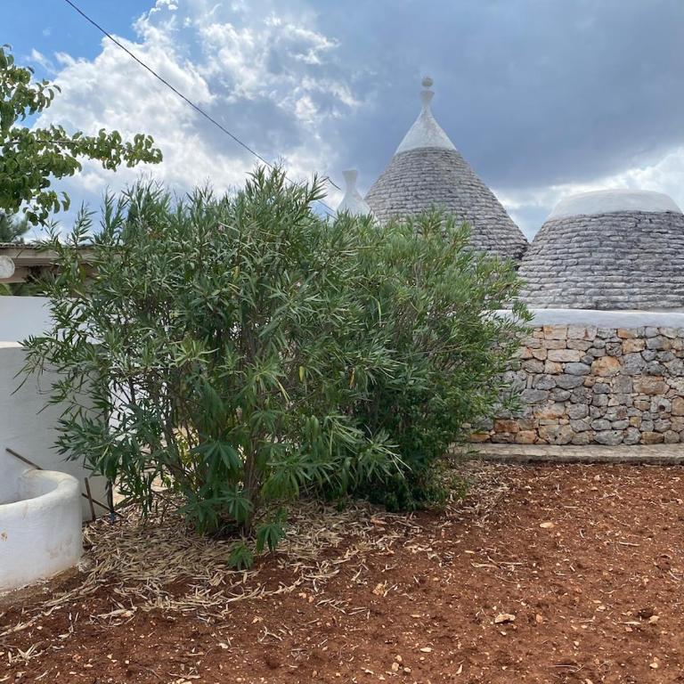 Trullo misha - Villa with Private Pool - 7