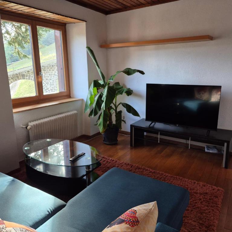 Bel appartement dans une maison villagesoise - Two-Bedroom Apartment - 1