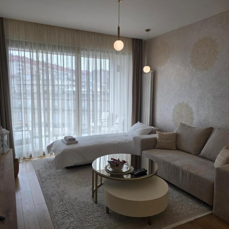 Casa Novi Dorcol Belgrade - Apartman sa 1 Spavaćom Sobom - 27