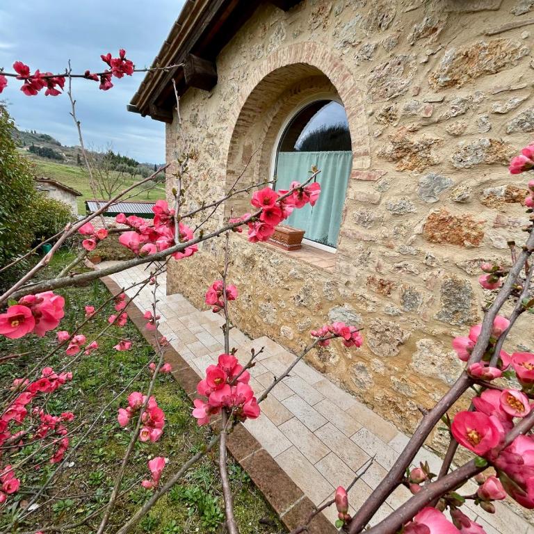 La Capanna di Franco - Two-Bedroom Apartment - 14