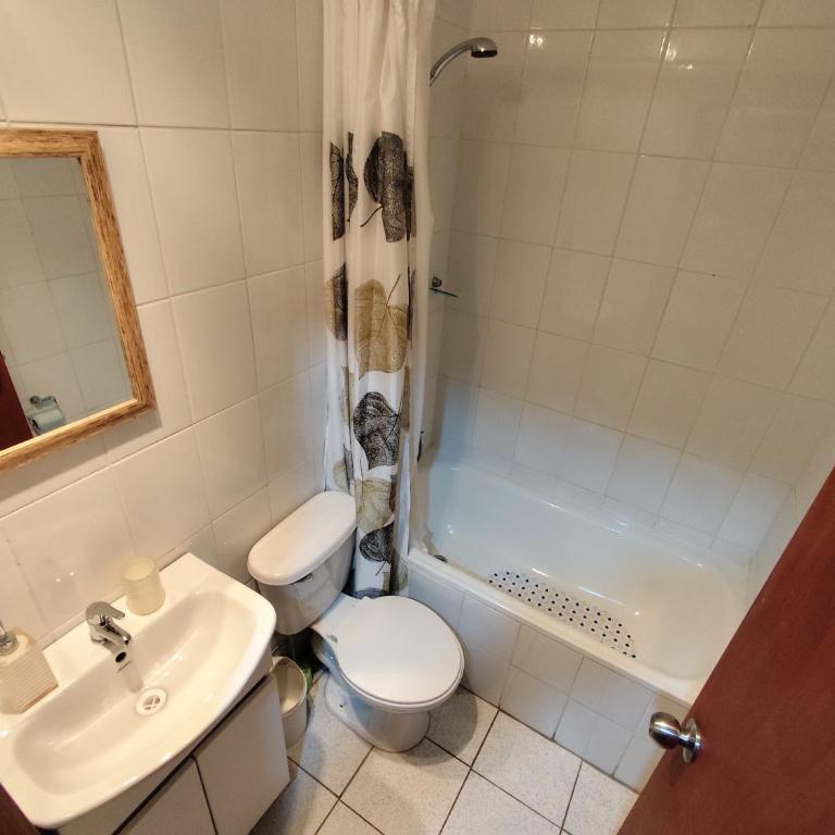 Cabaña Leandro Lago Panguipulli - Apartamento de 1 dormitorio - 15
