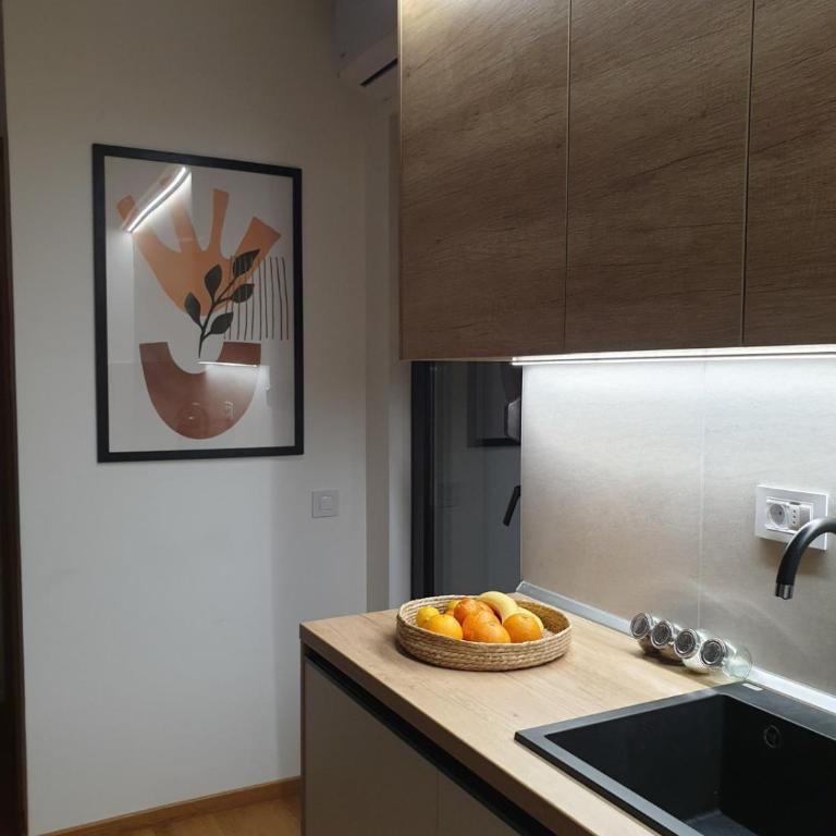Apartman Mondo - Apartman sa 1 Spavaćom Sobom - 4