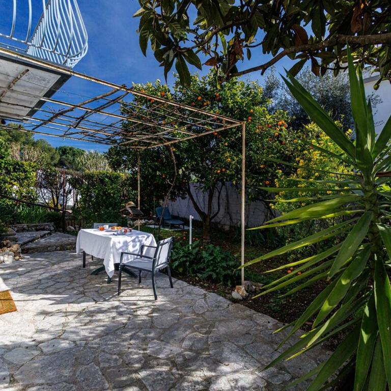 La Petite Marjolaine Pretty Garden Level in Vence - Appartement 1 Chambre - 19