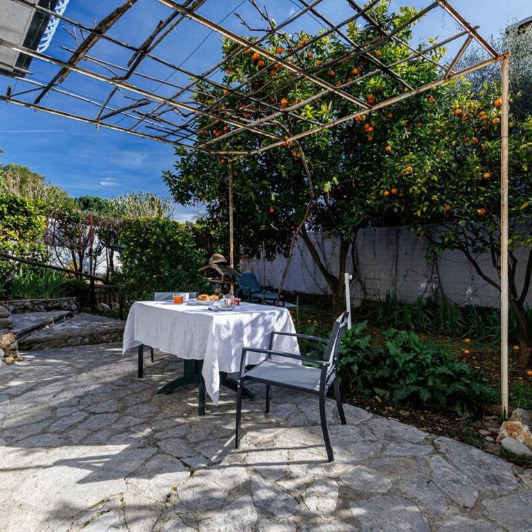 La Petite Marjolaine Pretty Garden Level in Vence - Appartement 1 Chambre - 6