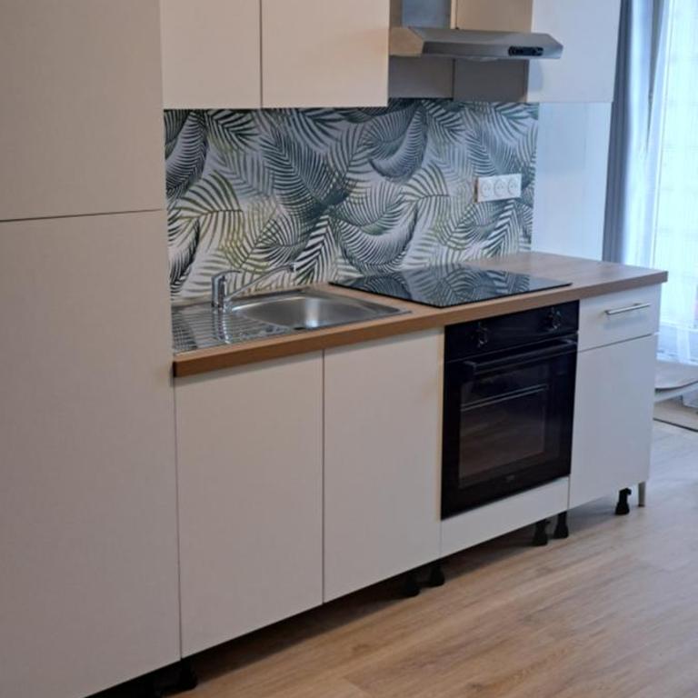 A 50m des cures libre mi septembre joli studio rénové orienté Nord bien ventilé - Appartement 1 Chambre - 14