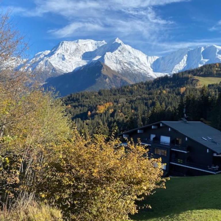 Appartement cosy avec balcon Saint-Gervais - Appartement - 15