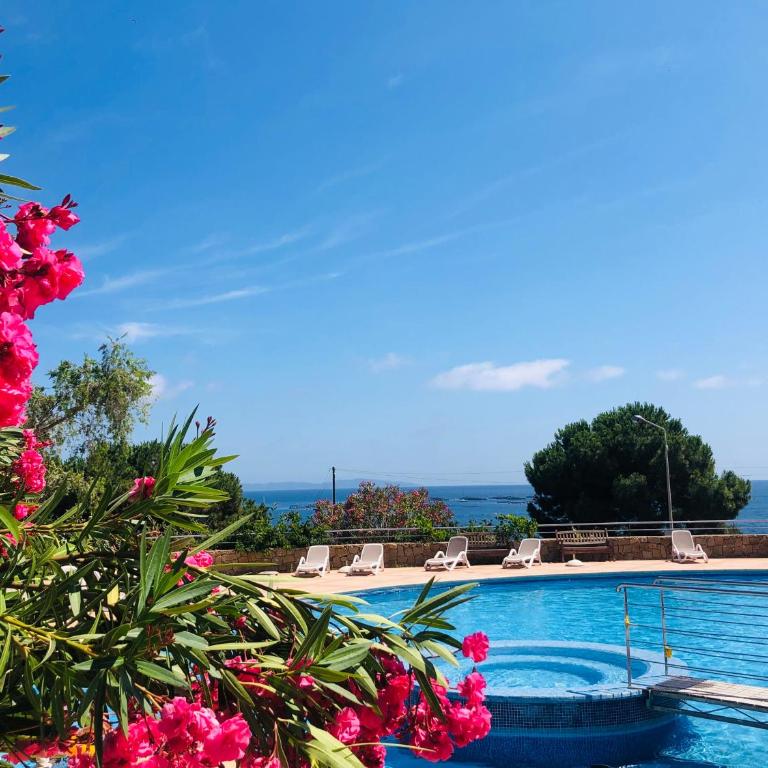 Les Sanguinaires N'16 - T2 Vue Mer, Piscine, Plage - Apartment mit 1 Schlafzimmer und Meerblick - 37