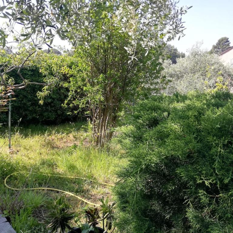 Il Melograno - Appartamento - 8