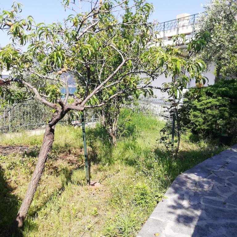 Il Melograno - Appartamento - 29
