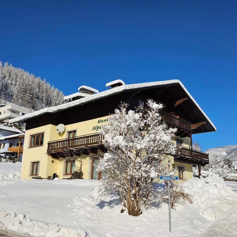 Ferienhaus Alpenrose - Ferienhaus - 4