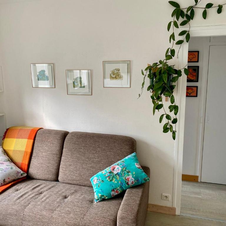 Avril - Appartement Centre Ville Concarneau - Appartement 2 Chambres - 31