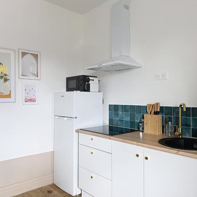 Vesle - Appartement - Centre - 2 chambres- Animaux OK - Reims - Two-Bedroom Apartment - 5