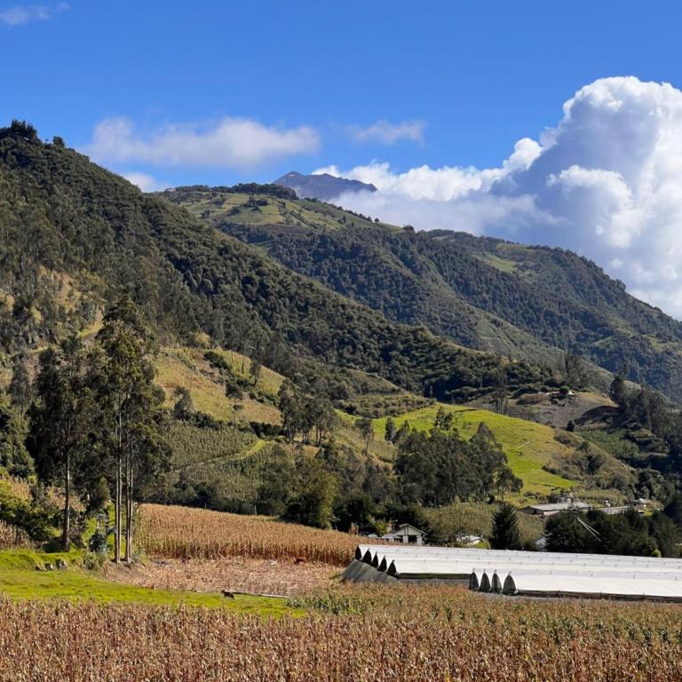 Andes Escape - Suites and Farm - Apartamento de 2 dormitorios - 9