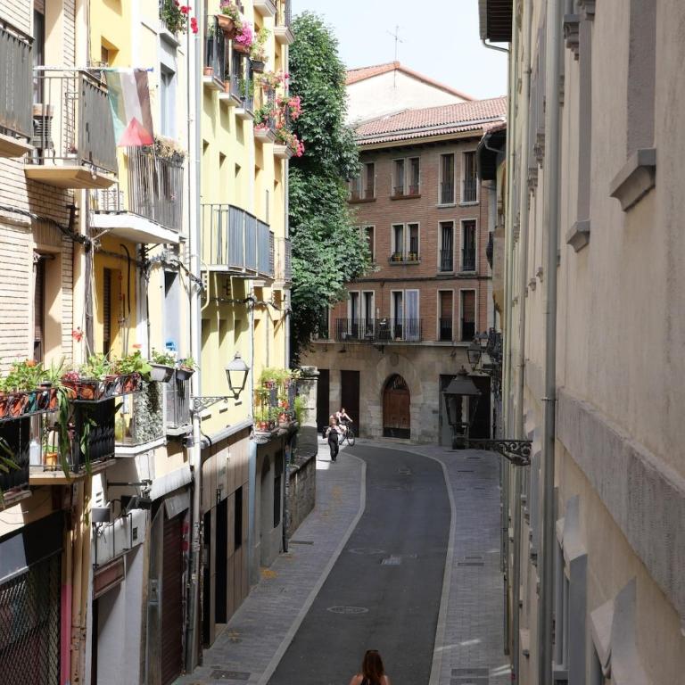 Pamplona Centro - Two-Bedroom Apartment - 20