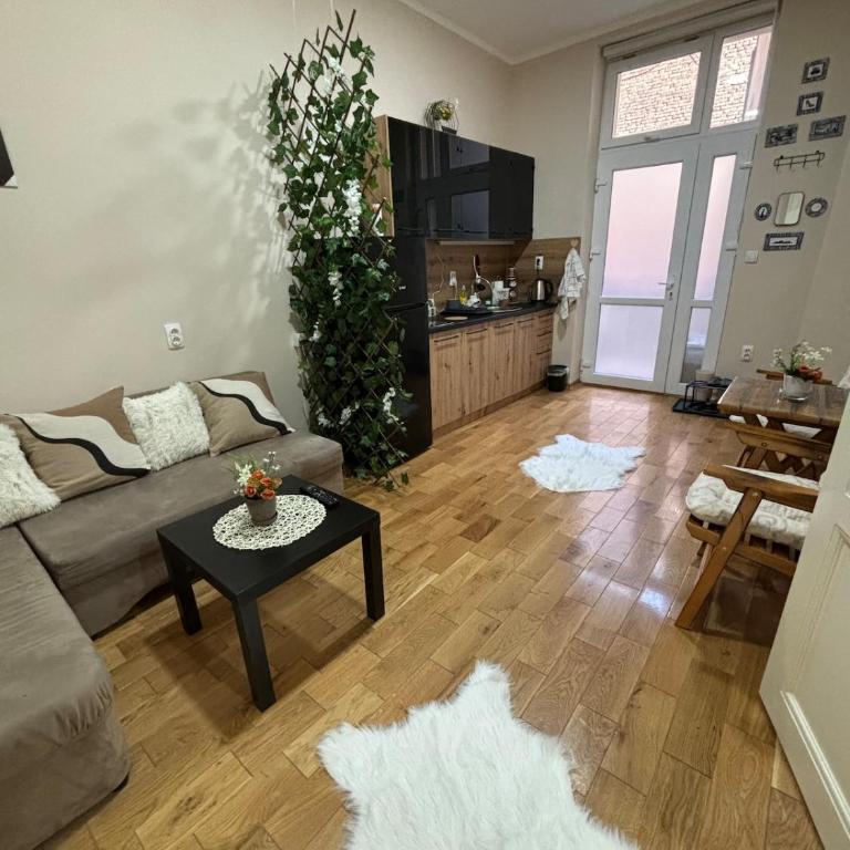 Apartment Dana - One-Bedroom Apartment - 1