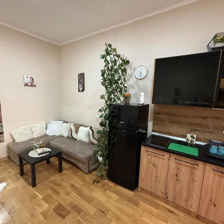 Apartment Dana - One-Bedroom Apartment - 8