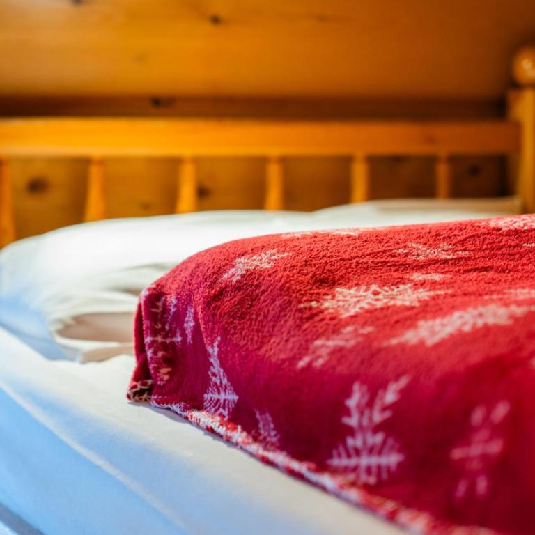 Alpen Suite Apartment - Casa con 2 Camere da Letto - 19