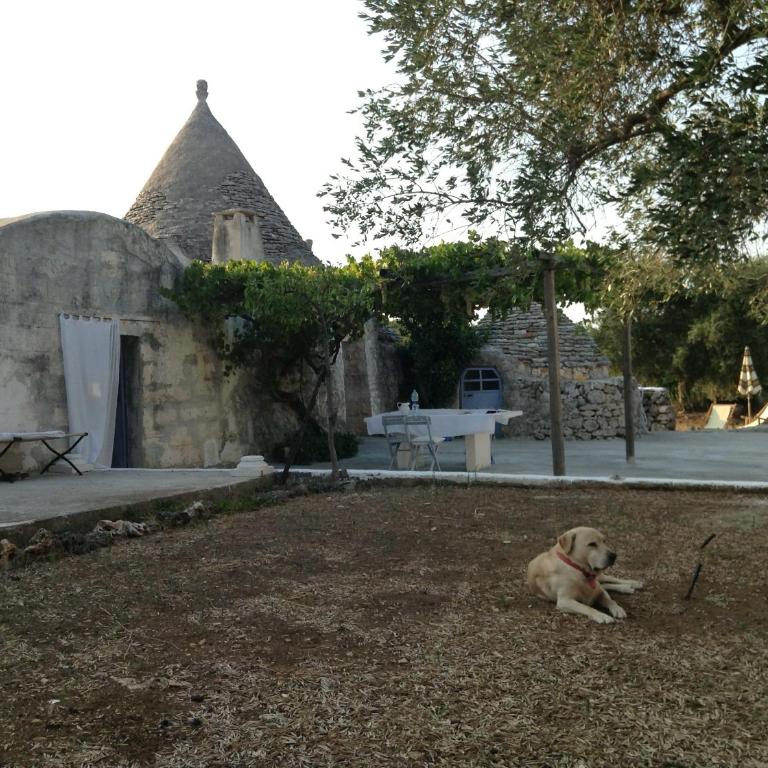 Picturesque Trulli in Itria Valley - Casa con 1 Camera da Letto - 31