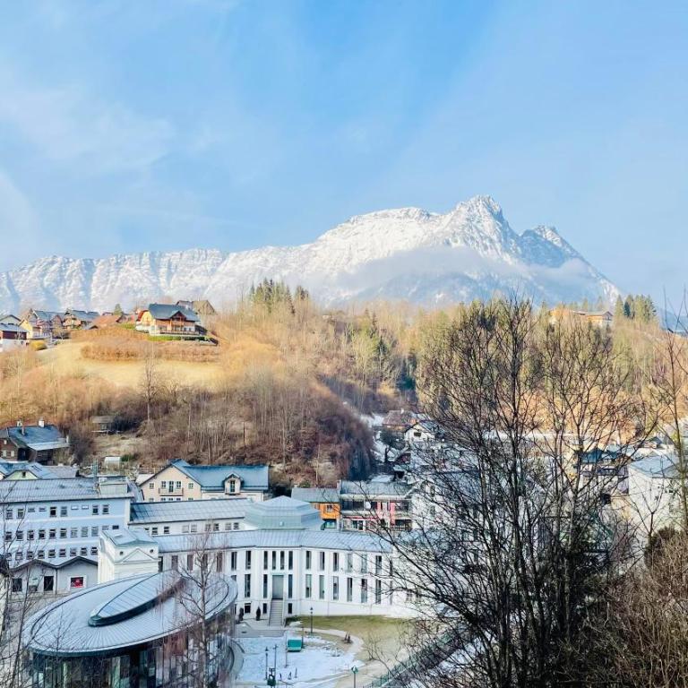 Ausseer Hoiznest - Apartment mit 1 Schlafzimmer und Dusche - 20