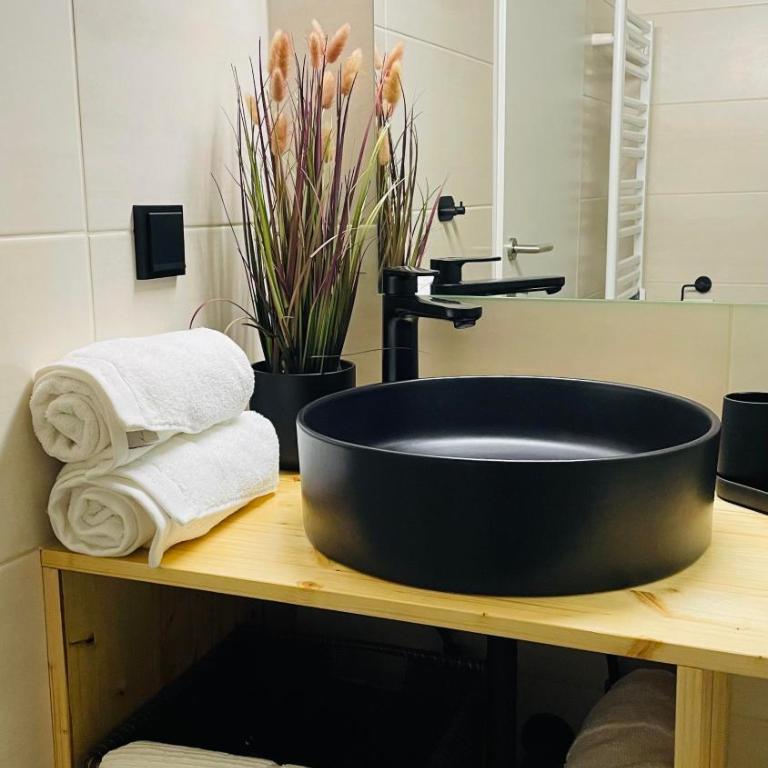 Ausseer Hoiznest - Apartment mit 1 Schlafzimmer und Dusche - 9