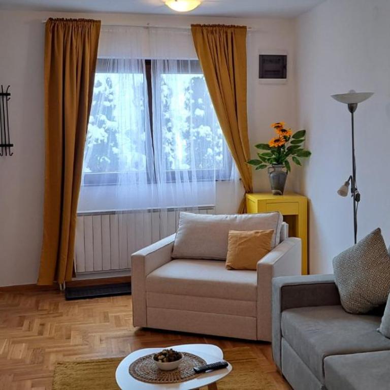 Zlatiborski Konaci - Standard One-Bedroom Apartment - 1
